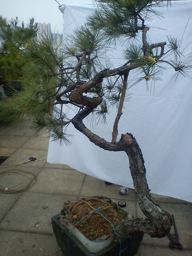 DSC02015.jpg