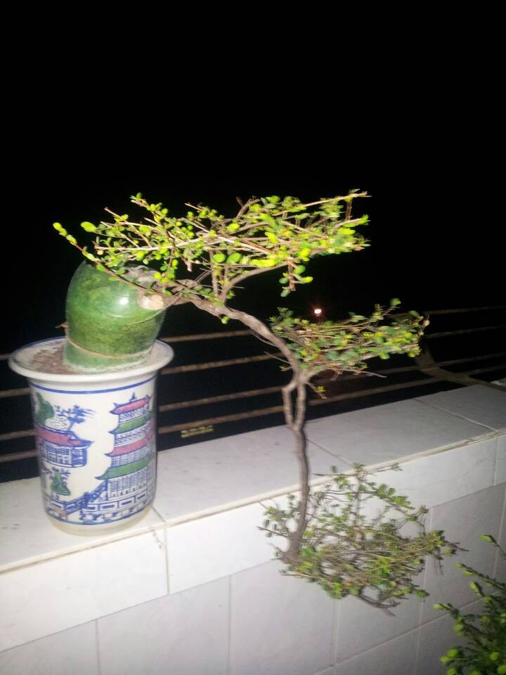 QQͼƬ20140213204738.jpg