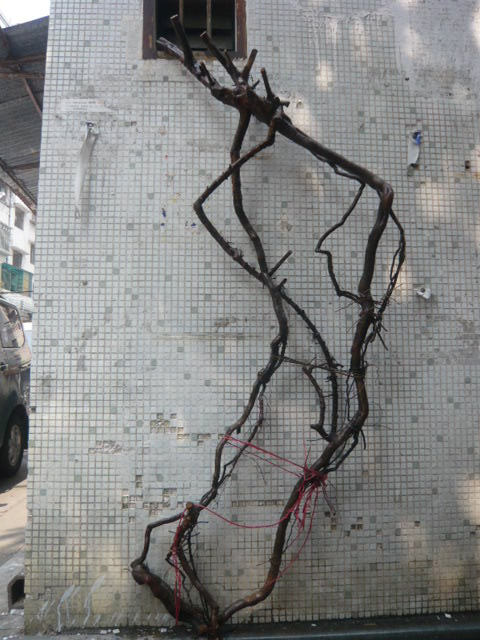 P1030581.JPG