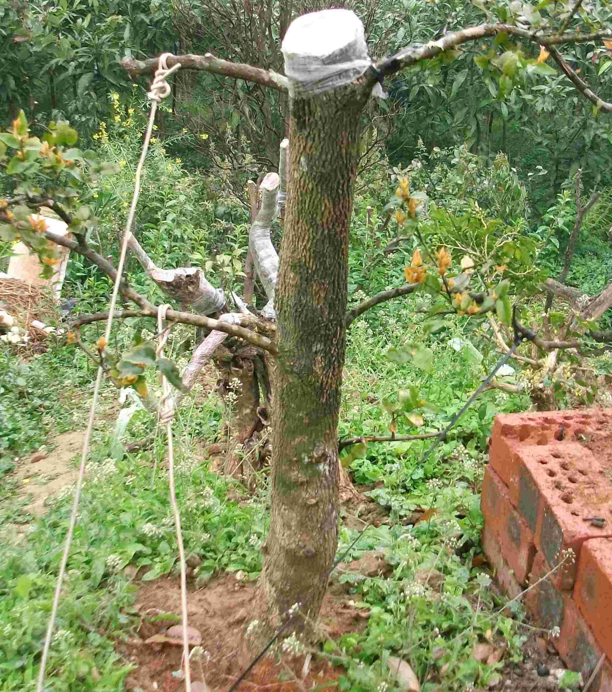 DSCF0291.JPG