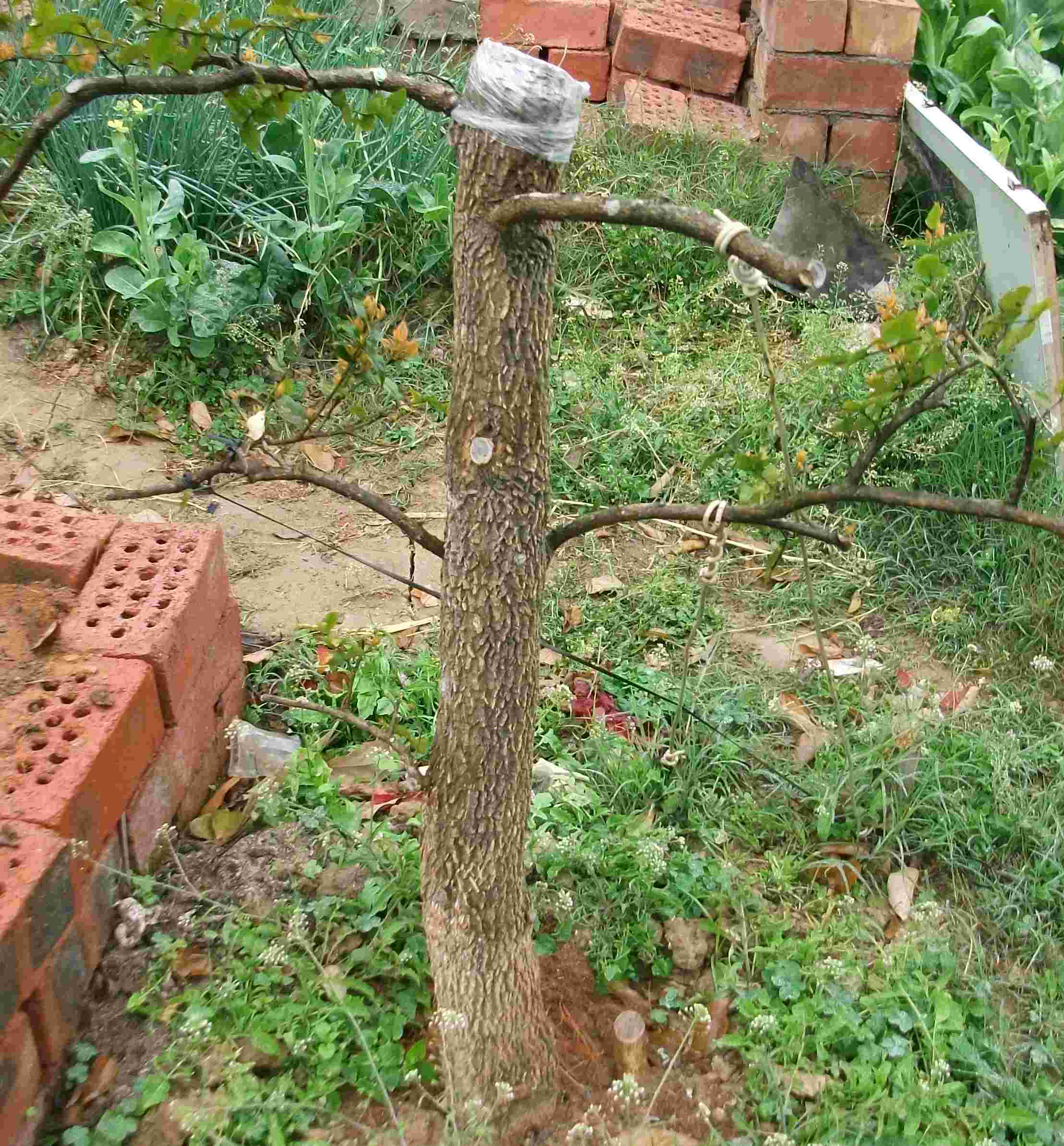 DSCF0292.JPG