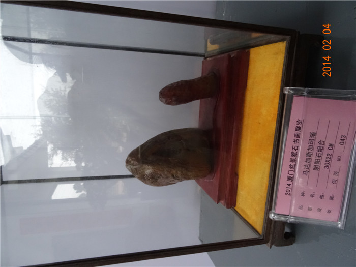 DSC01767.JPG
