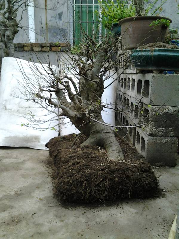 2014-02-17 18.20.35.jpg