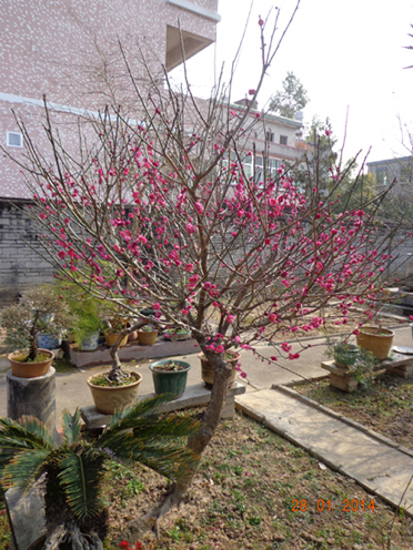 DSC02282.JPG