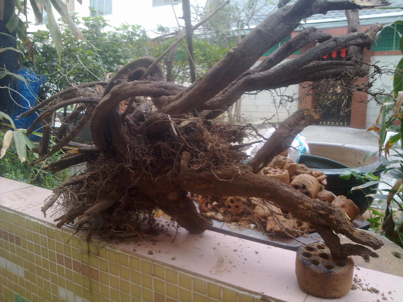 201402191565.jpg