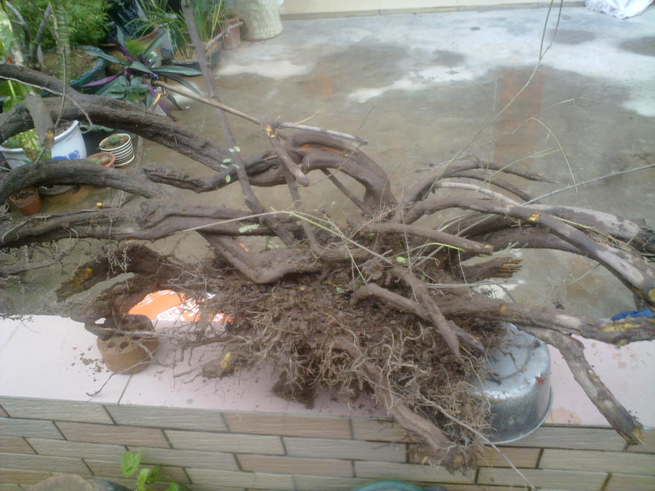 201402191564.jpg
