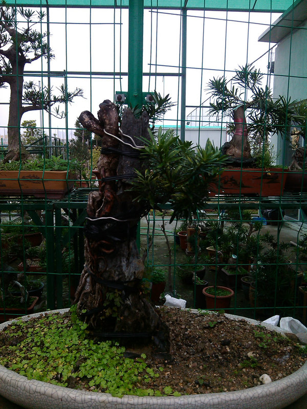 IMG_20140218_144652.jpg