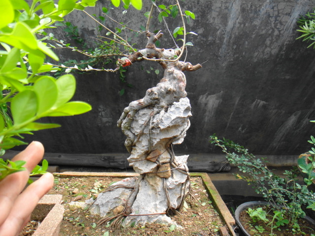 DSC03644.JPG
