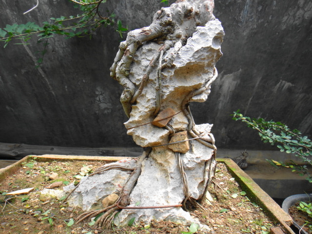 DSC03645.JPG