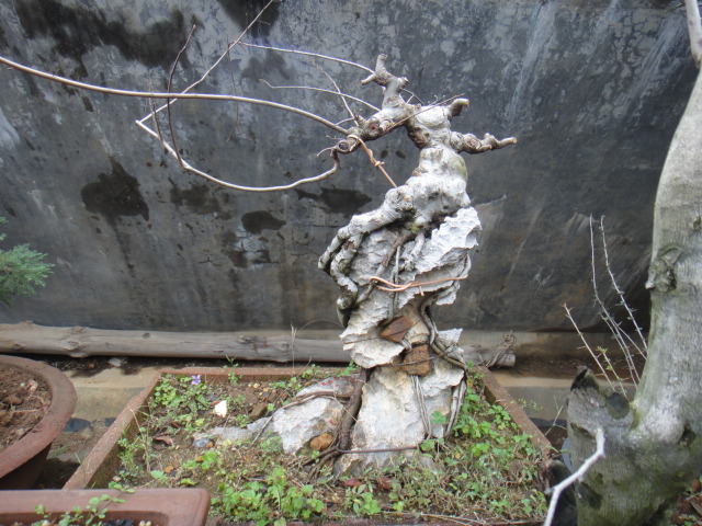 DSC04958.JPG
