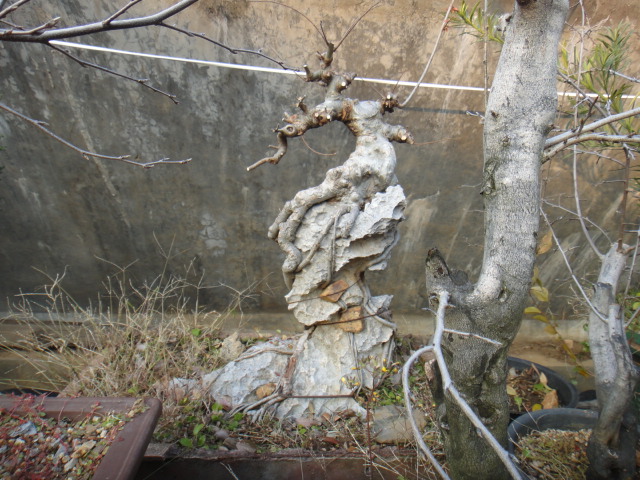 DSC06438.JPG