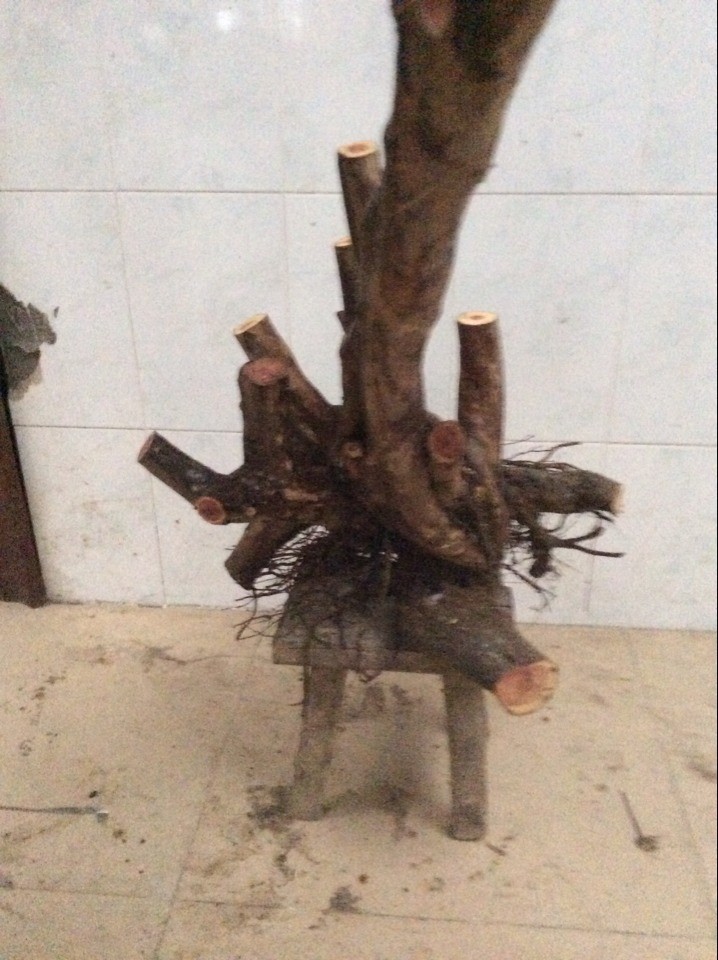 QQͼƬ20140221181608.jpg