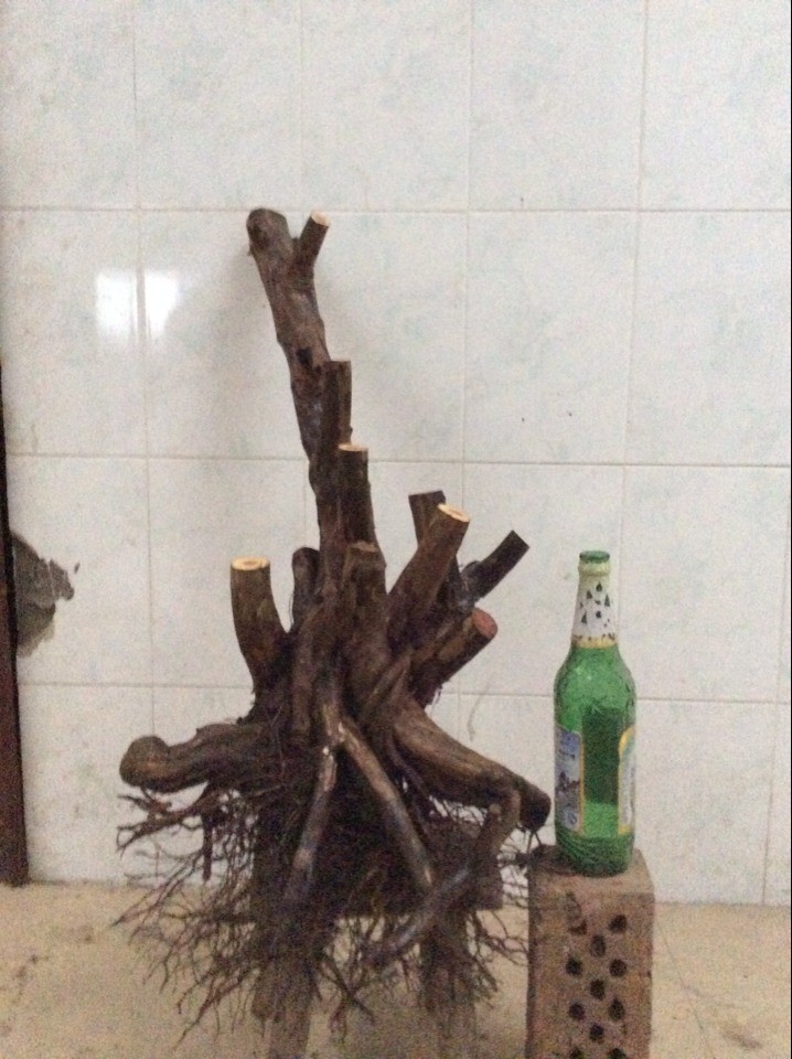 QQͼƬ20140221181613.jpg