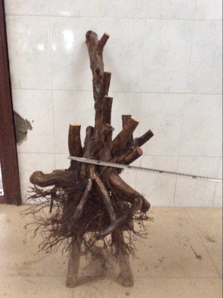 QQͼƬ20140221181551.jpg