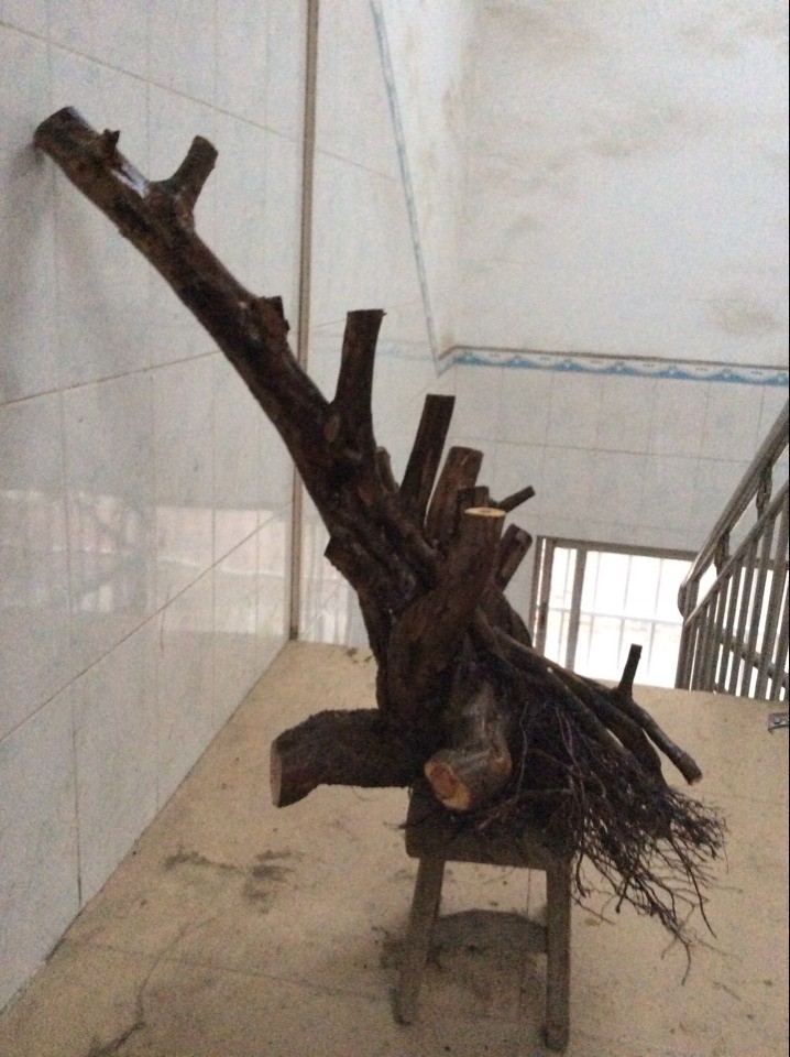 QQͼƬ20140221181557.jpg