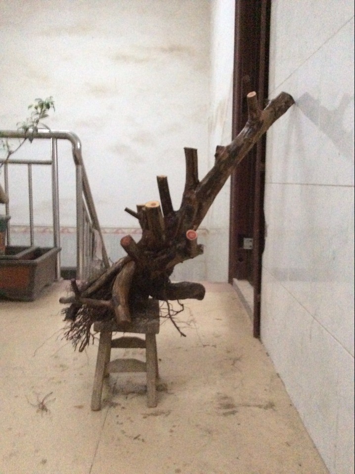 QQͼƬ20140221181605.jpg