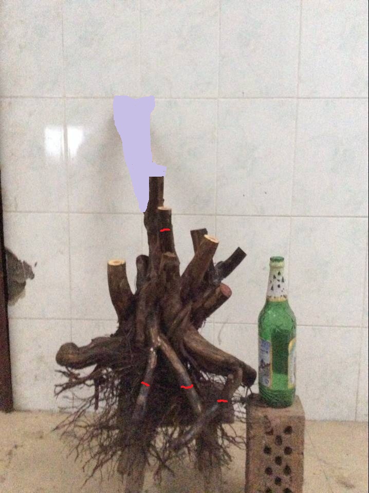 182222jy1ejle55zdqzejd_jpg_thumb.jpg