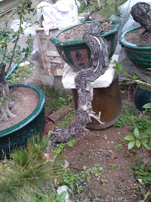 20140222869_.jpg