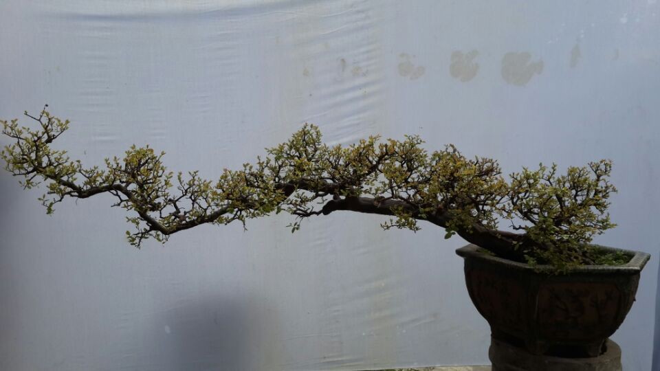 QQͼƬ20140223103309a.jpg
