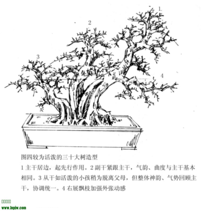 20056381856822.jpg