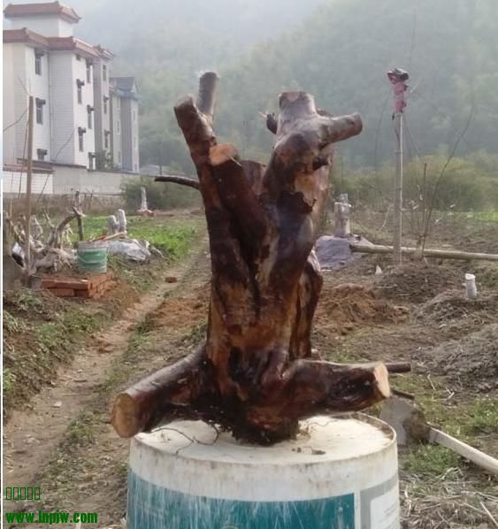 ȸ4.jpg