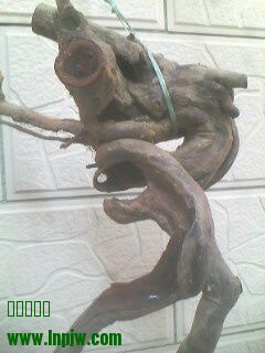 IMG0357A.jpg