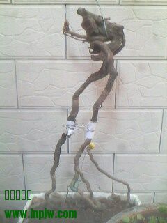 IMG0356A.jpg