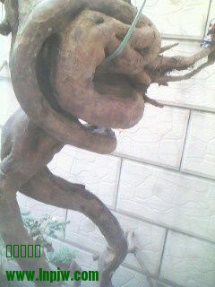 IMG0358A.jpg
