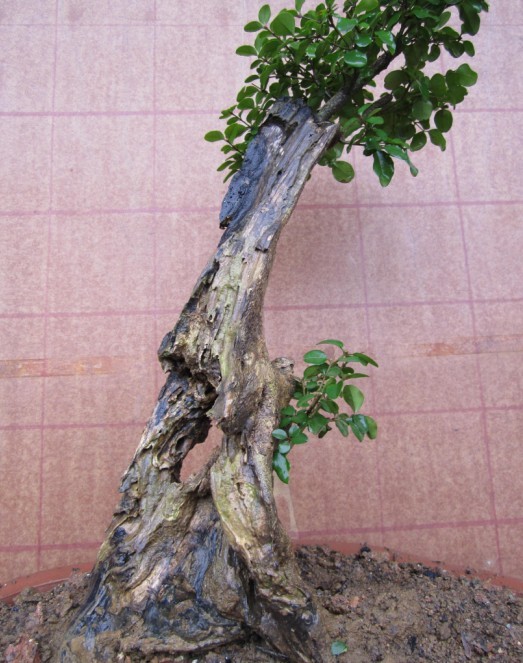 QQͼƬ20140225133234.jpg