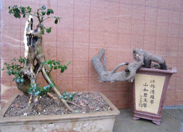 QQͼƬ20140225154243.jpg