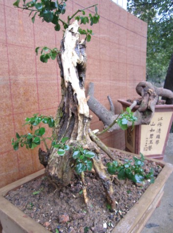 QQͼƬ20140225154327.jpg