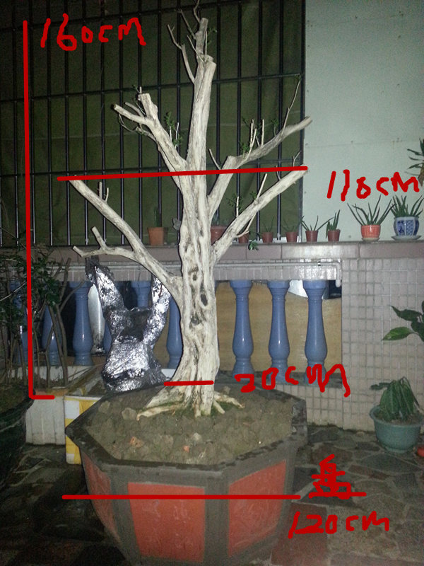 20140223_221921_.jpg