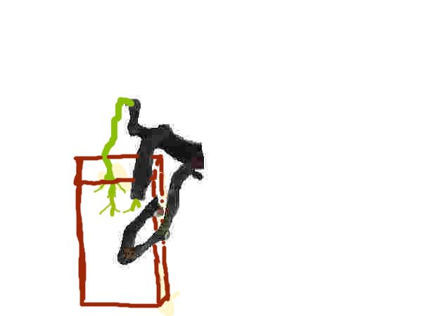 202935je6d8jilara0xzdn_jpg_thumb.jpg