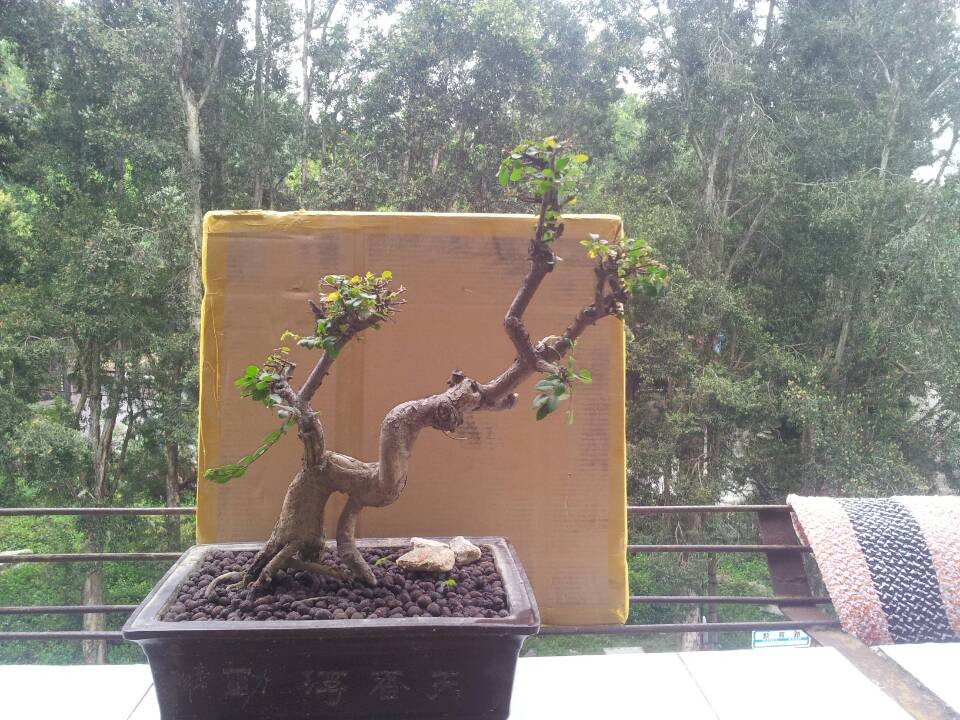 QQͼƬ20140226132958.jpg