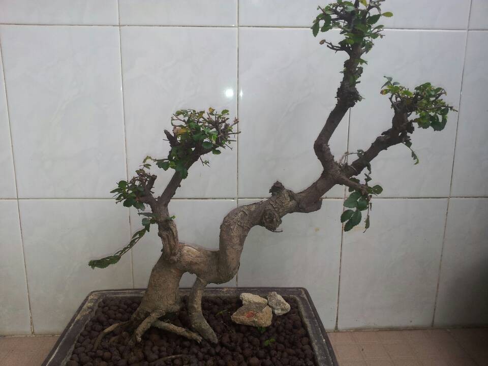 QQͼƬ20140226133026.jpg