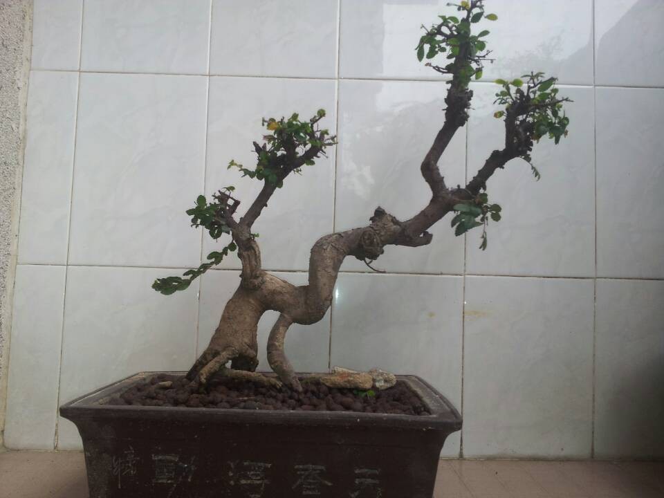 QQͼƬ20140226133034.jpg