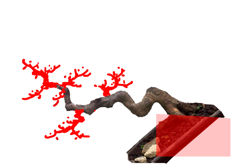 δ-1.jpg