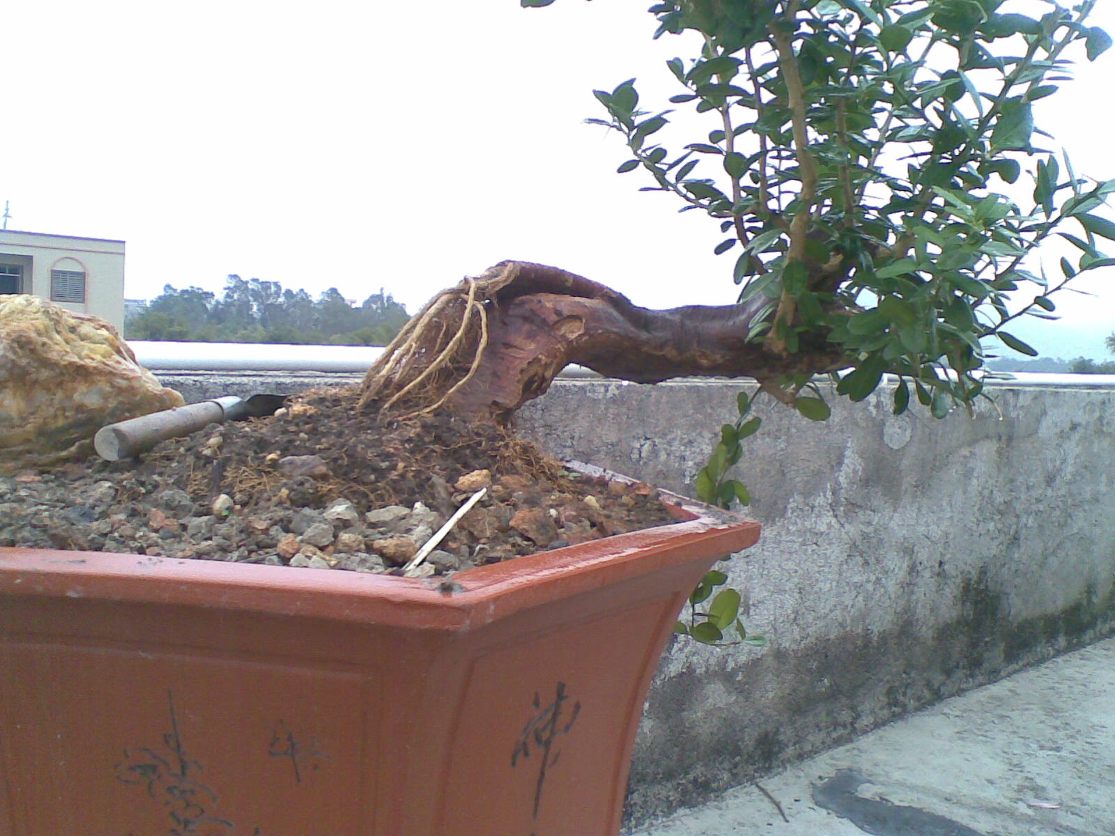 20140128(008).jpg