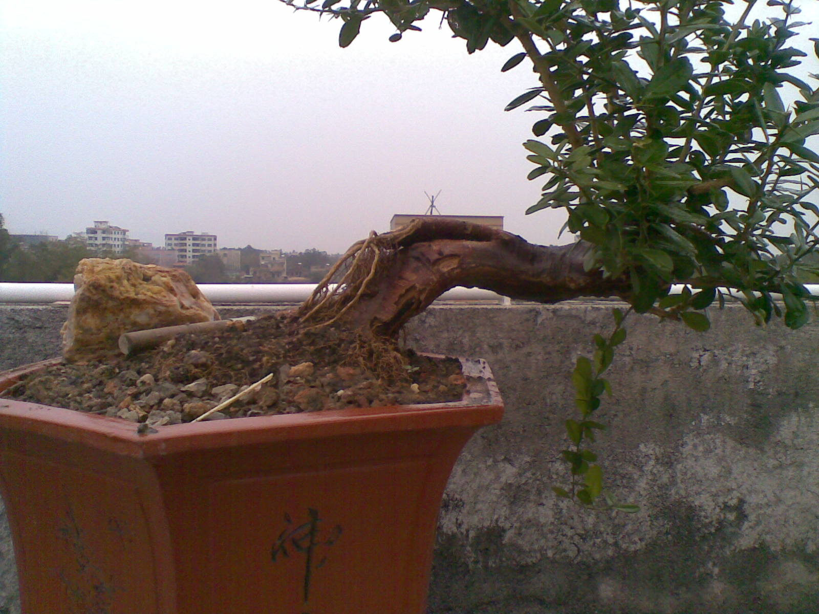 20140128(009).jpg