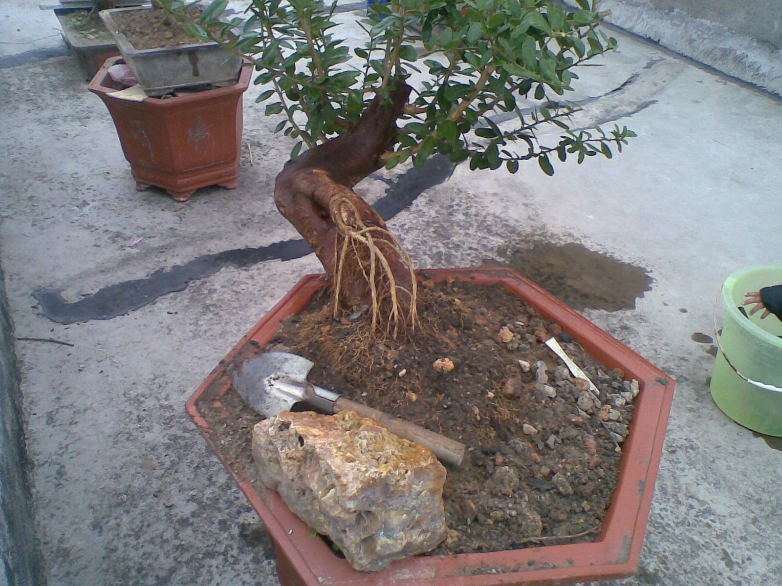20140128(010).jpg