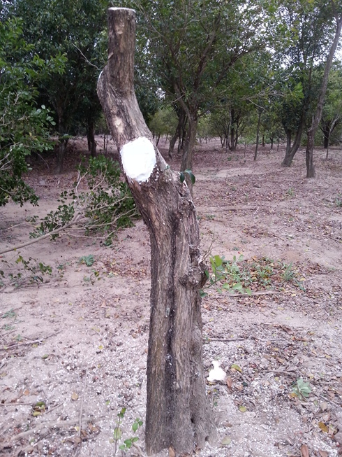 20140211_172839.jpg