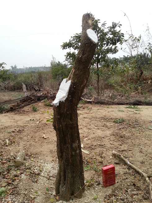 20140211_172907.jpg