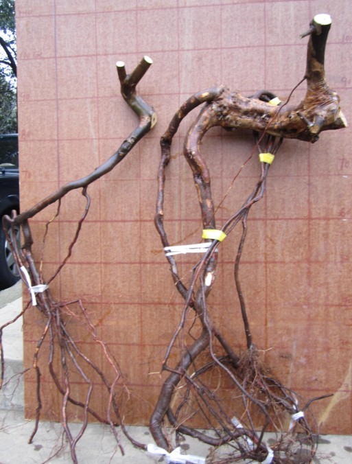 QQͼƬ20140227184346.jpg