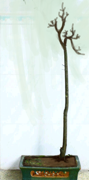 绘画专?_1393650135399.png