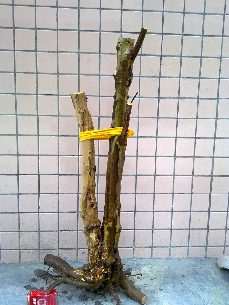0800.jpg