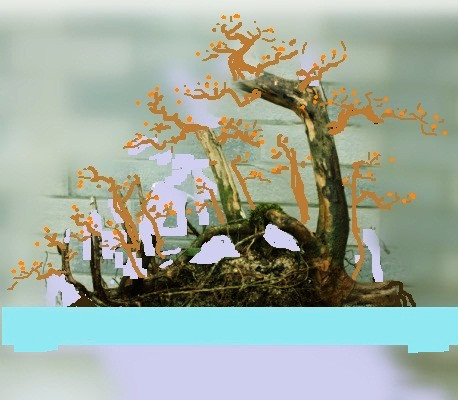 103040cisixisssinzaf0r_ -  - .jpg