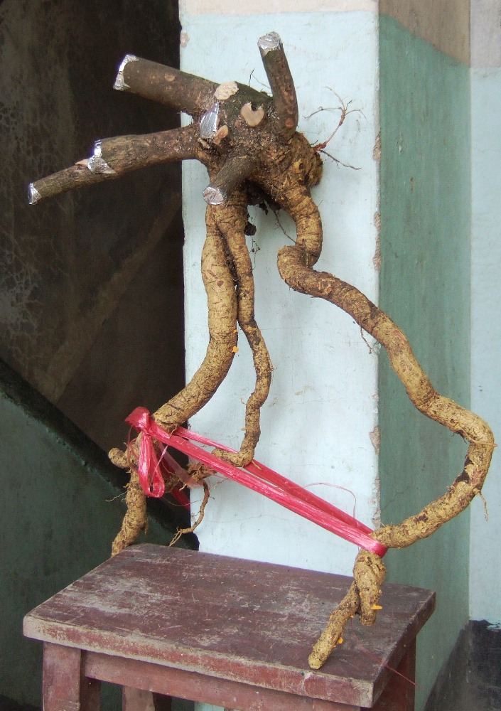 DSCF5255.JPG