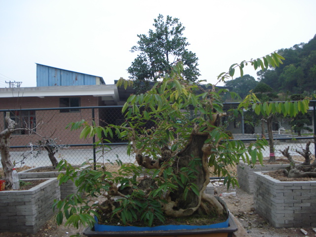 DSC01621.JPG