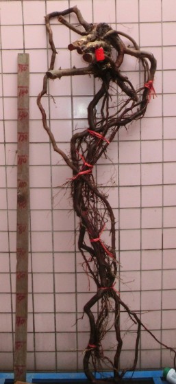 QQͼƬ20140302101142.jpg