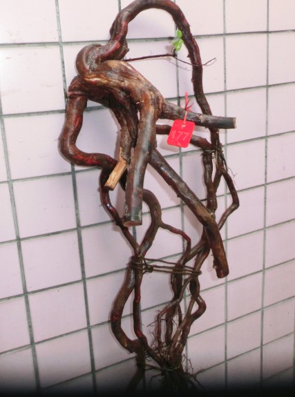 QQͼƬ20140302101151.jpg